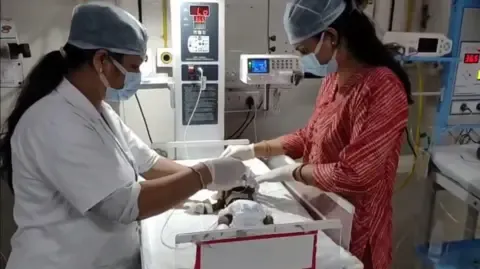 Newborn Placed Alive in the Country Battles for Her Life